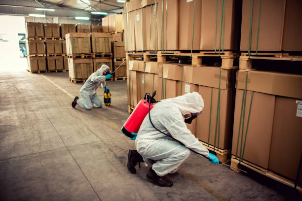 Best Residential Pest Control  in Willowbrook, CA