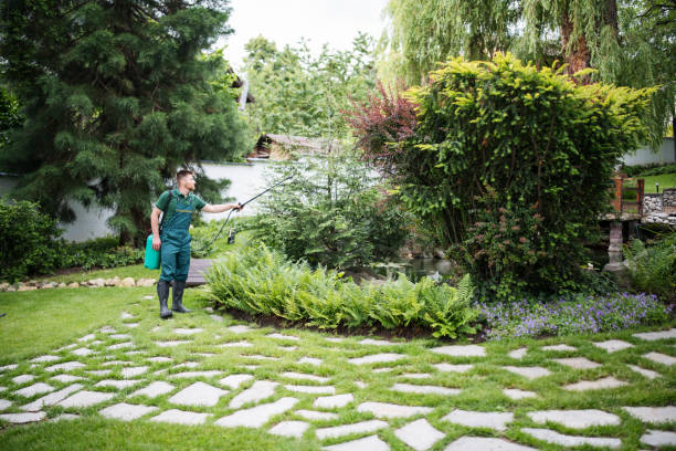 Best Rodent Control Near Me  in Willowbrook, CA
