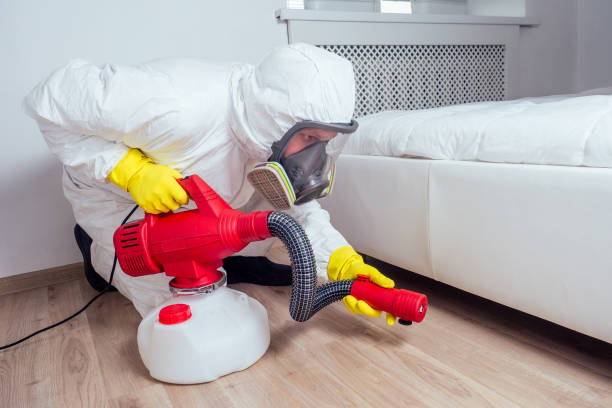 Best Pest Removal Services  in Willowbrook, CA