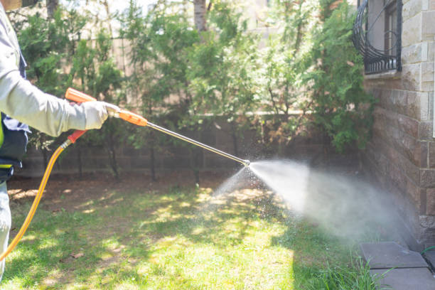 Best Ant Control Services  in Willowbrook, CA