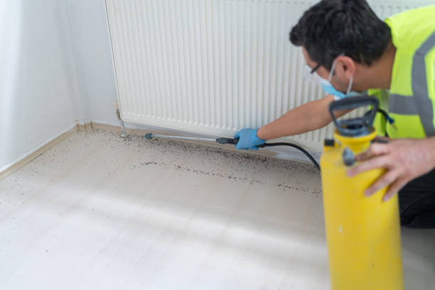 Best Emergency Pest Control  in Willowbrook, CA