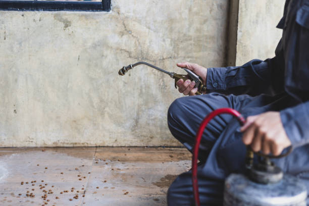 Best Wasp Removal Services  in Willowbrook, CA